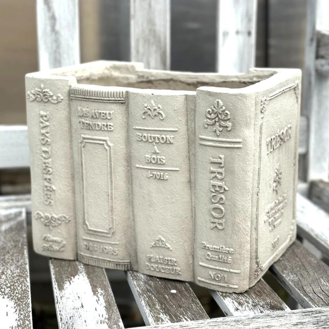 天然スタールビー シルバーp t900リング リング プラチナリング ルビー